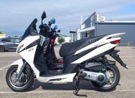 APRILIA SXR 50